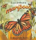 El Cido de Vida de la Mariposa / Life Cycle of a Butterfly (Ciclo de Vida de...)