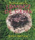 Ciclos de Vida #9: El Ciclo de Vida de la Lombriz de Tierra
