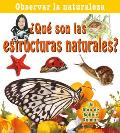 Observar La Naturaleza #12: Qu' Son Las Estructuras Naturales?