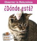 ?Donde Esta? = Where Is It? (Observar La Naturaleza)