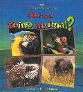 Que Es el Reino Animal? / What Is the Animal Kingdom? (Ciencia de los Seres Vivos) Cover
