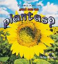 ?Qui Son Las Plantas? (Serie la Ciencia de los Seres Vivos)