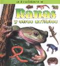 Que Tipo de Animal Es? #6: Ranas y Otros Anfibios
