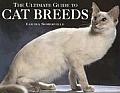 Ultimate Guide to Cat Breeds
