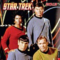 Star Trek 2013 Wall Calendar: The Original Series Cover