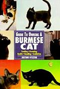 Guide to Owning a Burmese Cat: Feeding, Grooming, Health, Handling, Exhibition
