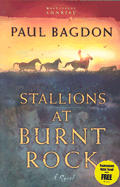West Texas Sunrise #01: Stallions at Burnt Rock
