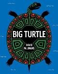Big Turtle