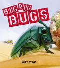 Big Rig Bugs Cover