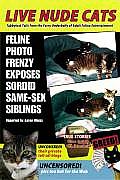 Live Nude Cats Cover