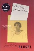 Plum Bun: A Novel Without a Moral (Black Women Writers) Cover