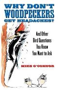 Why Don't Woodpeckers Get Headaches? And Other Answers to Bird Questions You Know You Want to Ask