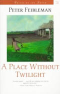 A Place Without Twilight (Voices of the South) Cover