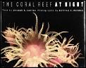 Coral Reef at Night