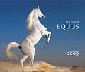 Equus Calendar Cover