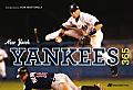 New York Yankees 365 (365) Cover