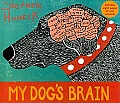 My Dog's Brain