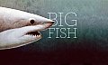 Big Fish