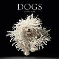 Dogs Calendar