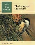 Black-Capped Chickadee (Wild Bird Guides)