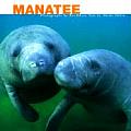 Manatee