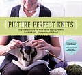 Picture Perfect Knits