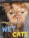 Stuff on My Cat Presents: Wet Cats
