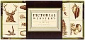 Pictorial Webster's Stamp Set