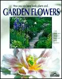 Garden Flowers