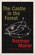 The Castle in the Forest: A Novel Cover