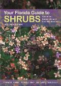 Your Florida Guide to Shrubs: Selection, Establishment, and Maintenance