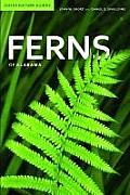 Ferns of Alabama (Gosse Nature Guides) Cover