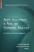 Recent Developments in Real and Harmonic Analysis: In Honor of Carlos Segovia (Applied and Numerical Harmonic Analysis)