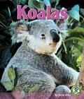 Koalas (Early Bird Nature) Cover