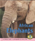 African Elephants (Early Bird Nature) Cover