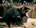 Tasmanian Devils Cover