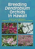 Breeding Dendrobiums in Hawaii