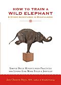 How to Train a Wild Elephant: And Other Adventures in Mindfulness Cover