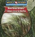 Como Crece la Hierba / How Grass Grows (How Plants Grow)