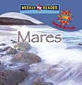 Mares / Seas (Where on Earth? World Geography)