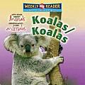 Koalas/ Koalas (Let's Read about Animals/Conozcamos a Los Animales)