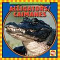 Alligators/Caimanes (Animals I See At The Zoo/Animales Que Veo en el Zoologico)