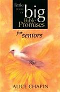 Little Book of Big Bible Promises for Seniors (Little Book of Big Bible Promises)