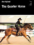 Quarter Horse