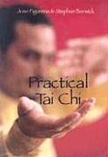 Practical Tai Chi