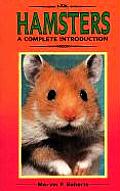 Hamsters