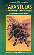 Tarantulas