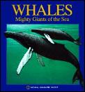 Whales (National Geographic Action Book)