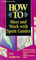 How to Meet and Work with Spirit Guides (Llewellyn's How to)