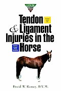 Concise Guide to Tendon and Ligament Injuries in the Horse